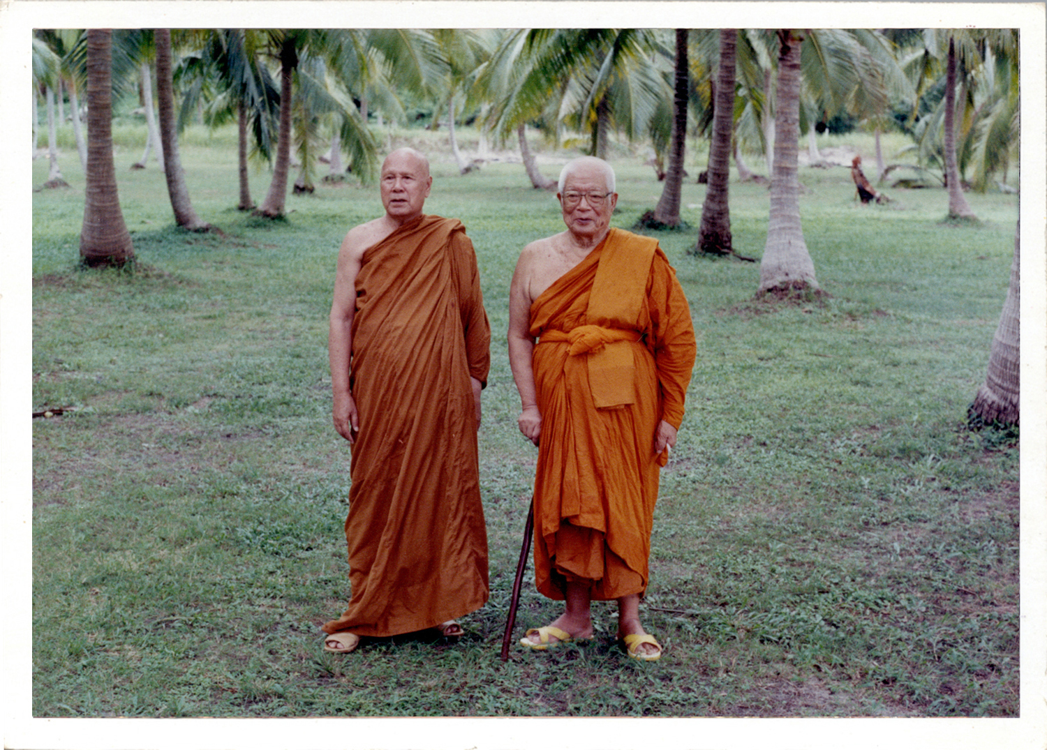 Buddhadasa indapanno archives c07882